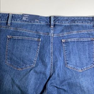 22WP Talbots Flawless Girlfriend Ankle Jeans NWT